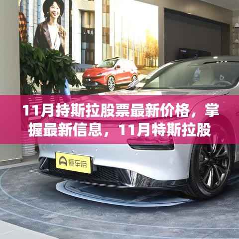 11月特斯拉股票最新价格及查询步骤指南