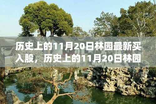 历史上的11月20日林园最新买入股,全面评测与深度介绍