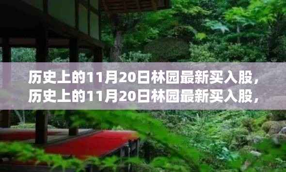 历史上的11月20日林园最新买入股,全面评测与深度介绍