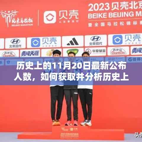 详细步骤指南,获取并分析历史上的11月20日最新公布人数数据解析方法介绍