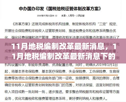 11月地税编制改革最新动态,深度解读与观点碰撞
