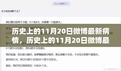 历史上的11月20日微博疫情动态概览,最新疫情信息及进展