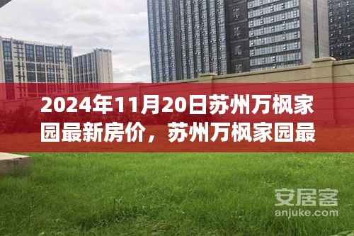 苏州万枫家园最新房价深度评测报告,深度解析与观察——2024年11月20日观察报告