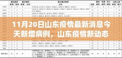 山东疫情最新动态下的隐秘小巷特色小店探索之旅,今日新增病例引发关注