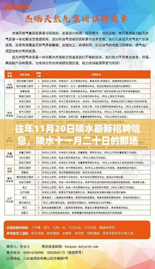 陵水最新招聘信息揭秘,求职奇遇与友情的温暖之旅