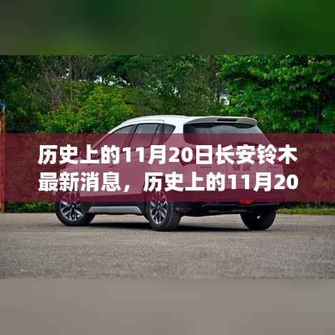 历史上的11月20日长安铃木最新消息,全面探索与了解步骤指南