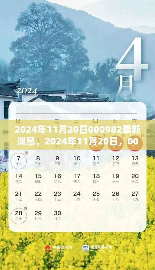 揭秘,最新消息关于代码000982在2024年11月20日的动态更新