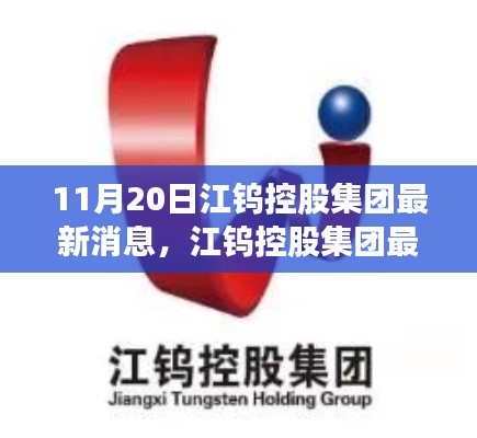 江钨控股集团最新动态深度解读,11月20日消息一览