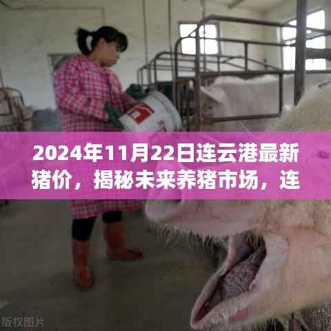 揭秘未来养猪市场,连云港最新猪价与科技产品体验报告(附预测)