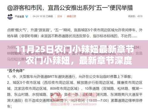 农门小辣妞最新章节解析与背景深度探讨(11月25日更新)