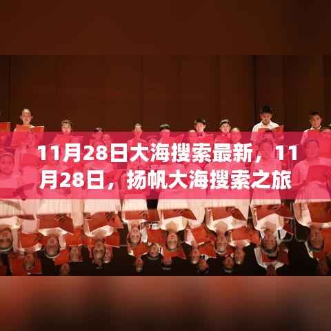 11月28日扬帆大海搜索之旅,探寻内心宁静与自然奇迹的征途