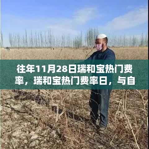 考级报名 第364页