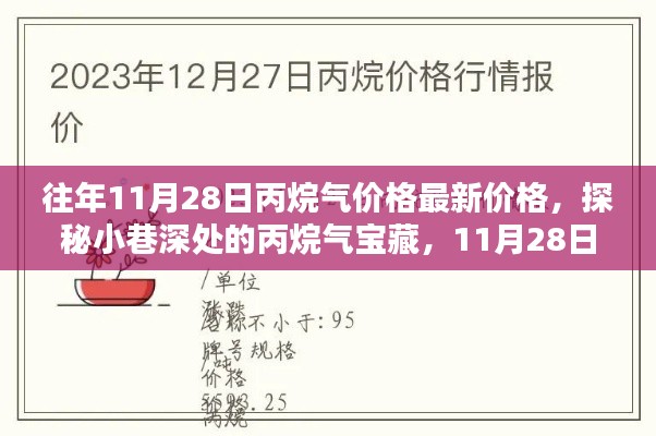 探秘小巷深处的丙烷气宝藏,揭秘最新价格动态与丙烷气市场趋势(仅标题)