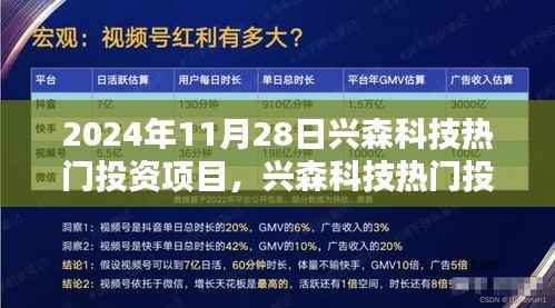 兴森科技热门投资项目深度解析，聚焦2024年11月28日的关注焦点