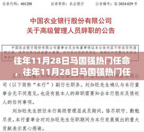 往年11月28日马国强热门任命全面解析,特性、体验、竞品对比及用户群体深度分析