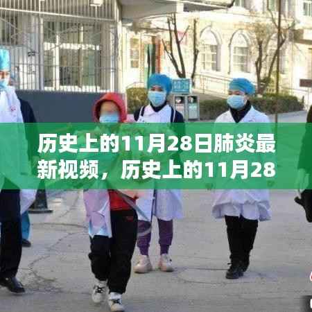 历史上的11月28日肺炎疫情概览与最新视频发布