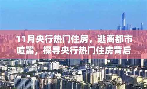 探寻央行热门住房背后的自然秘境,一次内心平静的旅程