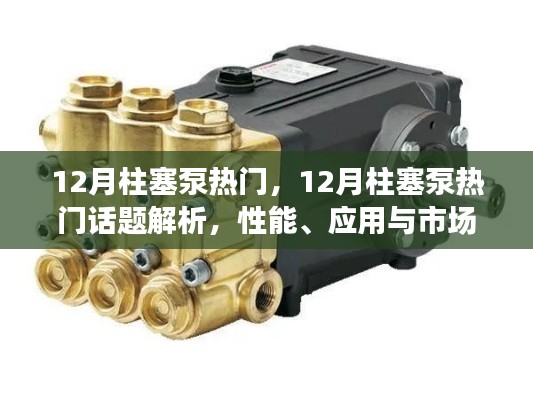 12月柱塞泵热门话题全解析,性能、应用与市场趋势探讨