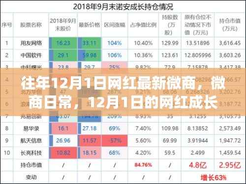 12月1日网红微商成长日记,暖心友情与日常辉煌