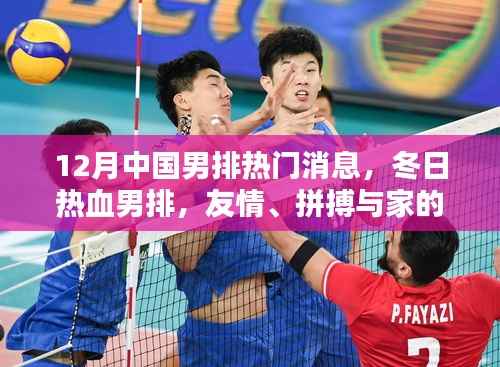 12月热血男排,友情、拼搏与家的温暖,最新男排消息回顾