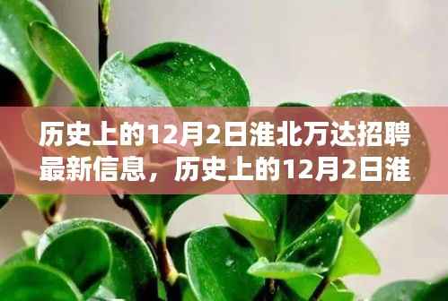淮北万达招聘最新信息解析,历史12月2日招聘信息全攻略,成功应聘指南