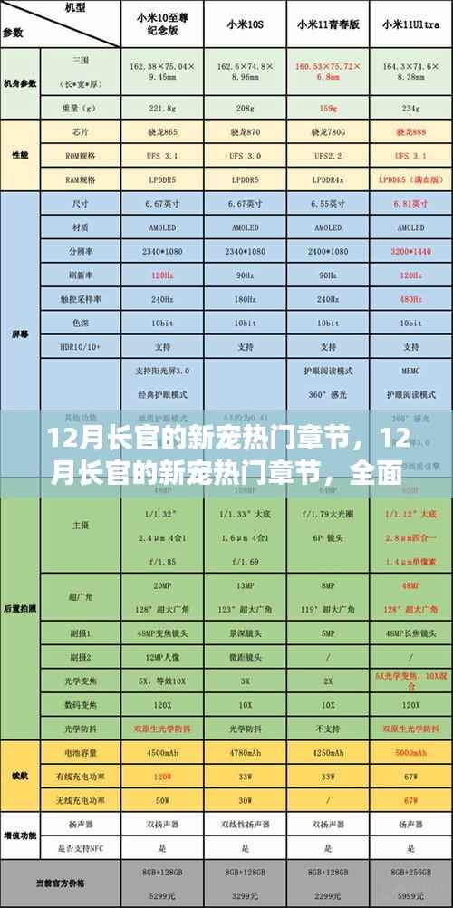 12月长官的新宠,全面评测与介绍热门章节