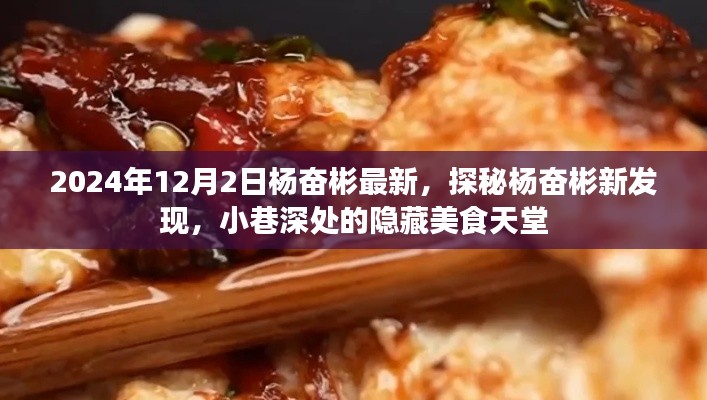 探秘杨奋彬的新发现,小巷深处的隐藏美食天堂(2024年12月2日最新)