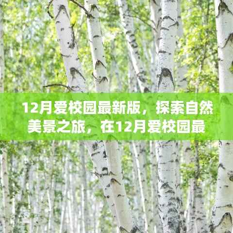 12月爱校园最新版,探索自然美景,寻找内心宁静与平和之旅