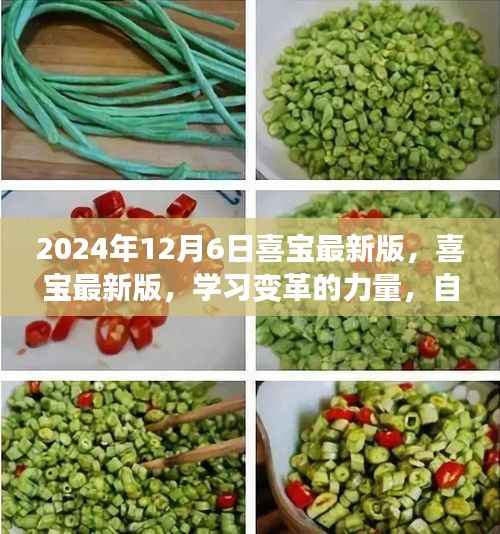 喜宝最新版,学习变革的力量,自信与成就感的源泉(2024年12月6日)