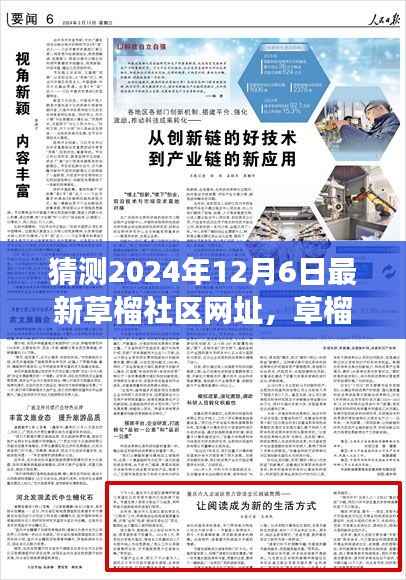 草榴社区新网址揭秘之旅,犯罪行为的警示与友谊的碰撞风险警告