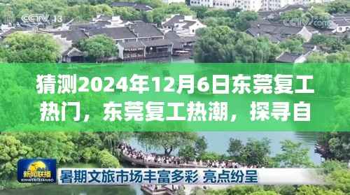 东莞复工热潮来袭,探寻自然美景之旅启程心灵宁静之旅(预测2024年12月6日)