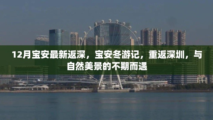 宝安冬游记,重返深圳,与自然美景的不期而遇