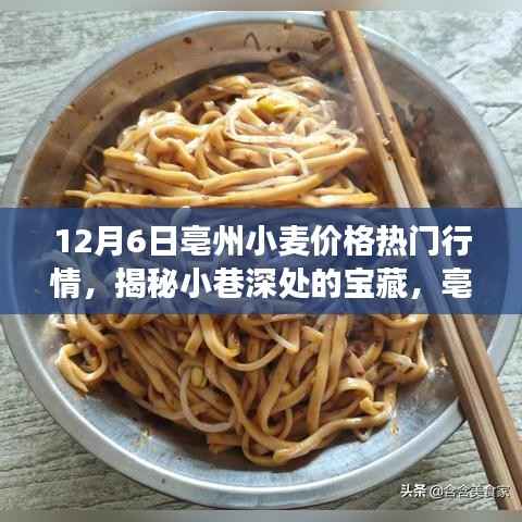 揭秘亳州小麦行情热门行情下的面食文化与宝藏面食体验