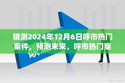 呼市热门案件深度解析与展望,预测未来趋势至2024年12月6日