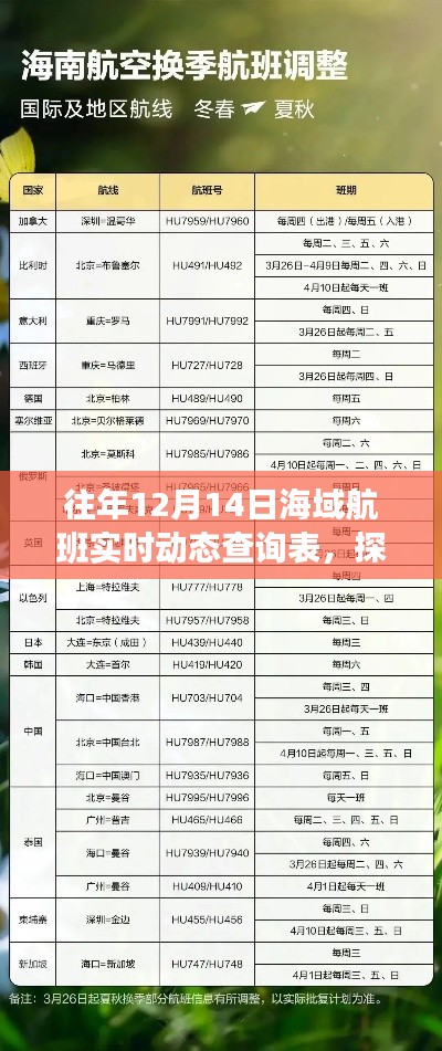 探秘宝藏店,揭秘往年12月14日海域航班实时动态概览