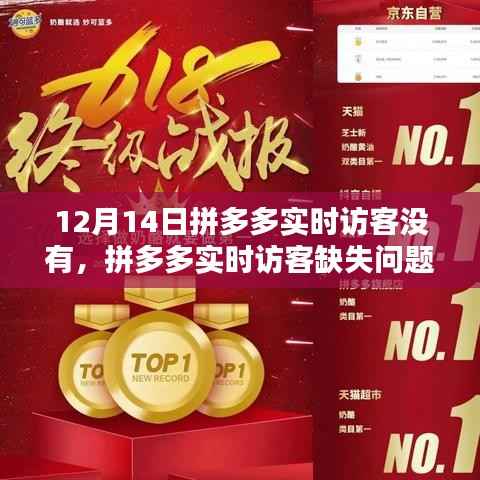 拼多多实时访客缺失问题解析与解决指南(适用于初学者及进阶用户,日期,12月14日)