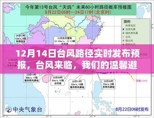 台风来临,温馨避风港——12月14日台风路径实时发布预报