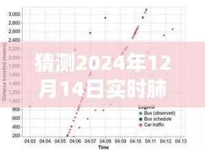 关于肺炎利群在特定日期的实时动态分析预测与探讨,2024年12月14日的观察与探讨