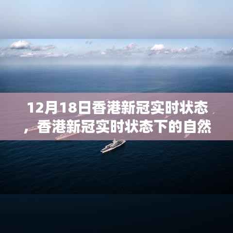 香港新冠实时状态,自然之旅中的心灵宁静与平和探寻