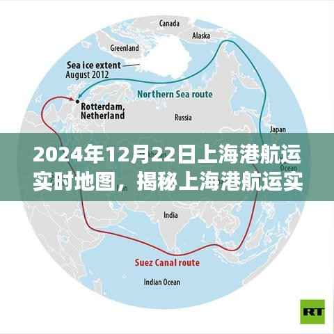 揭秘上海港航运实时地图,港口运营洞察——2024年12月22日