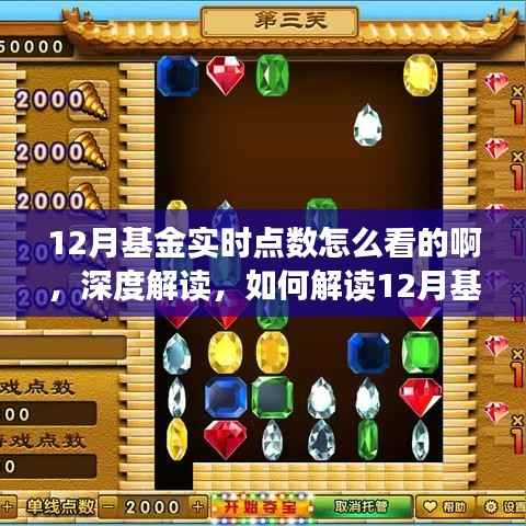 解读基金实时点数,一位投资者的深度解读与观点分享(以12月为例)