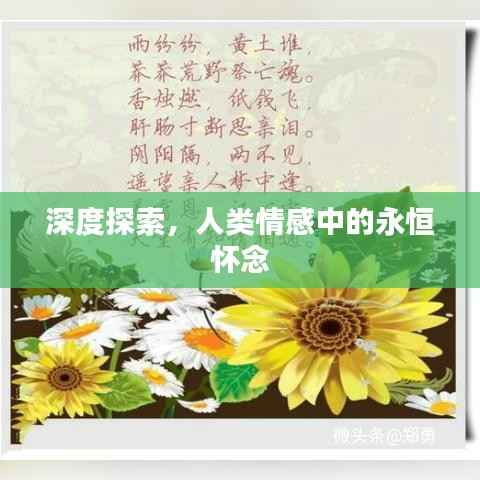 深度探索,人类情感中的永恒怀念