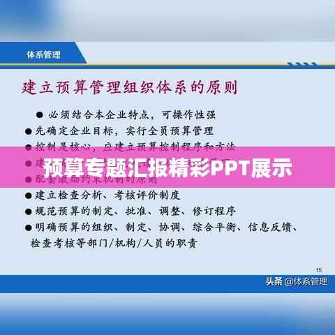 预算专题汇报精彩PPT展示