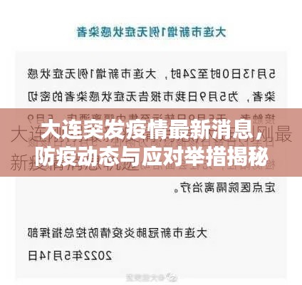 大连突发疫情最新消息,防疫动态与应对举措揭秘