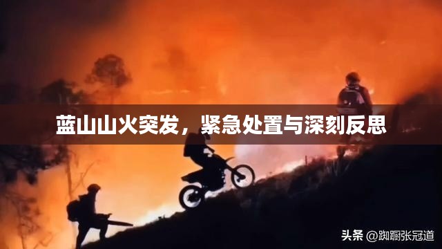 蓝山山火突发,紧急处置与深刻反思