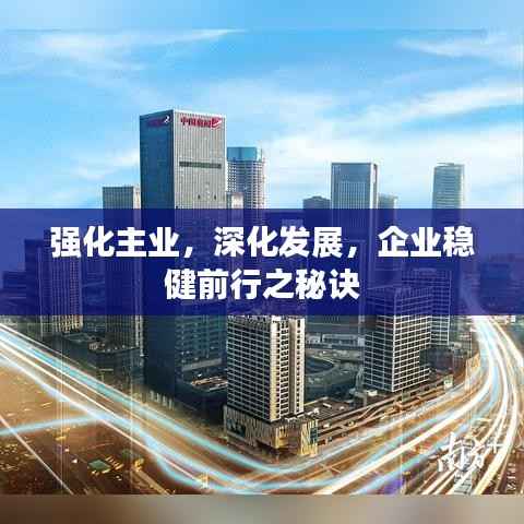 强化主业,深化发展,企业稳健前行之秘诀