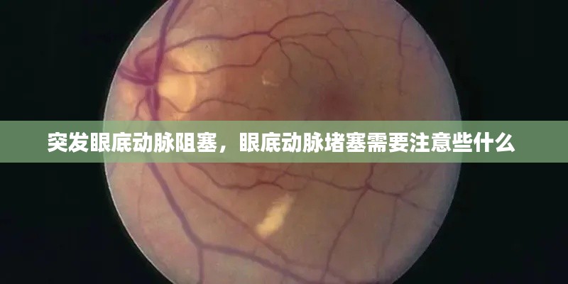 突发眼底动脉阻塞,眼底动脉堵塞需要注意些什么