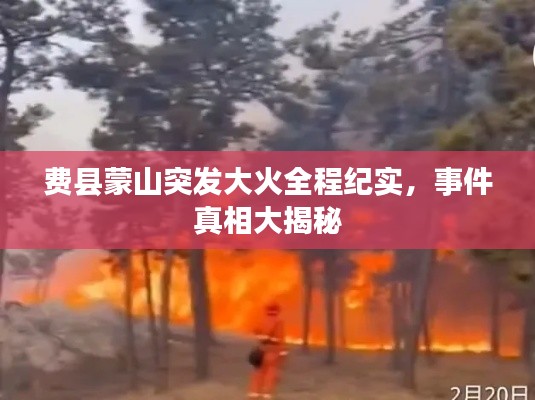 费县蒙山突发大火全程纪实,事件真相大揭秘