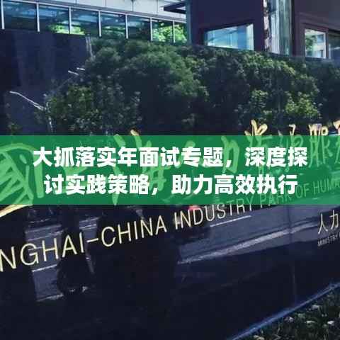 大抓落实年面试专题,深度探讨实践策略,助力高效执行