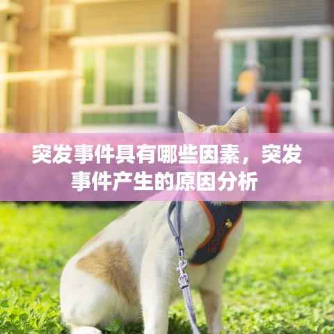 突发事件具有哪些因素,突发事件产生的原因分析